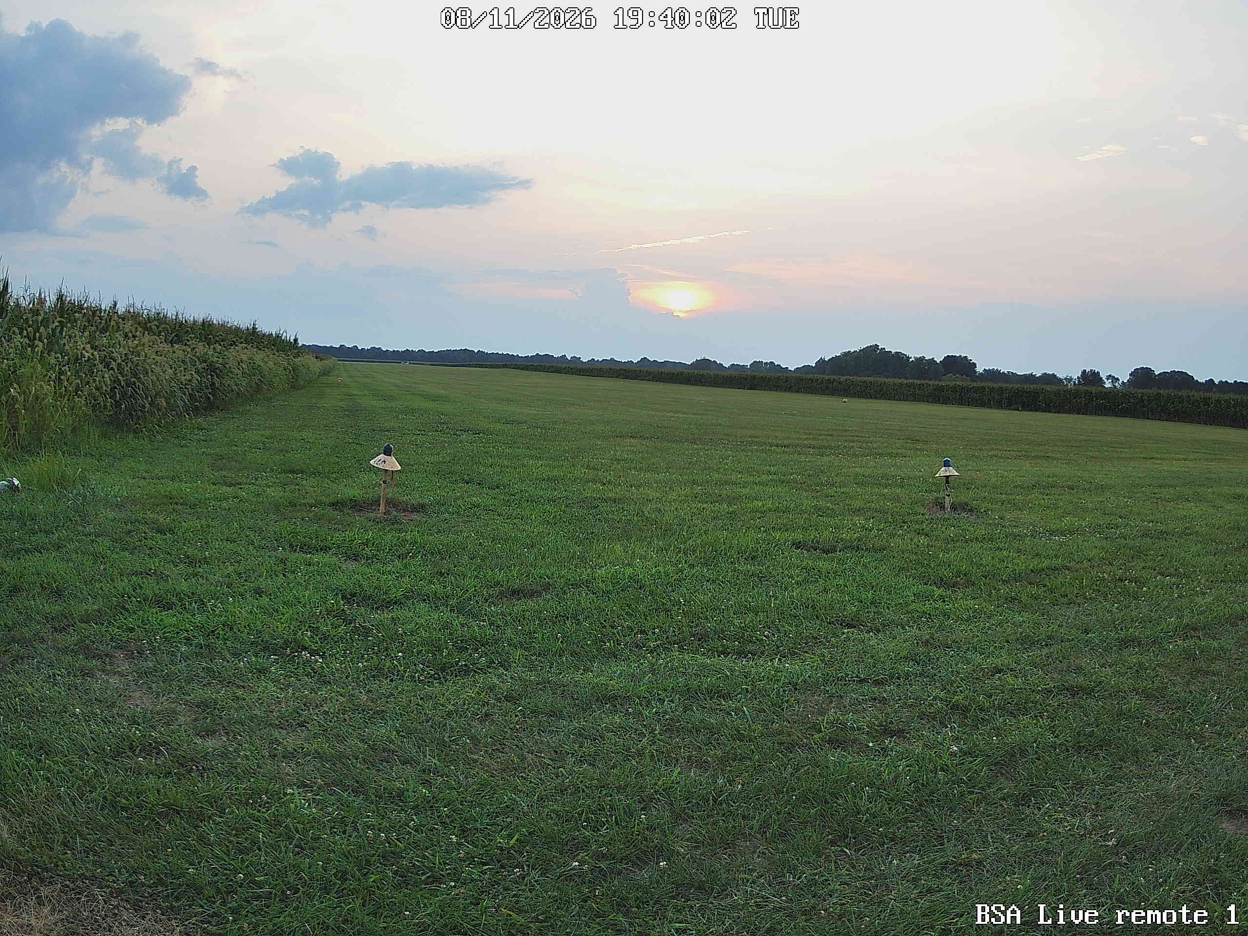 BSA Field Web Cam